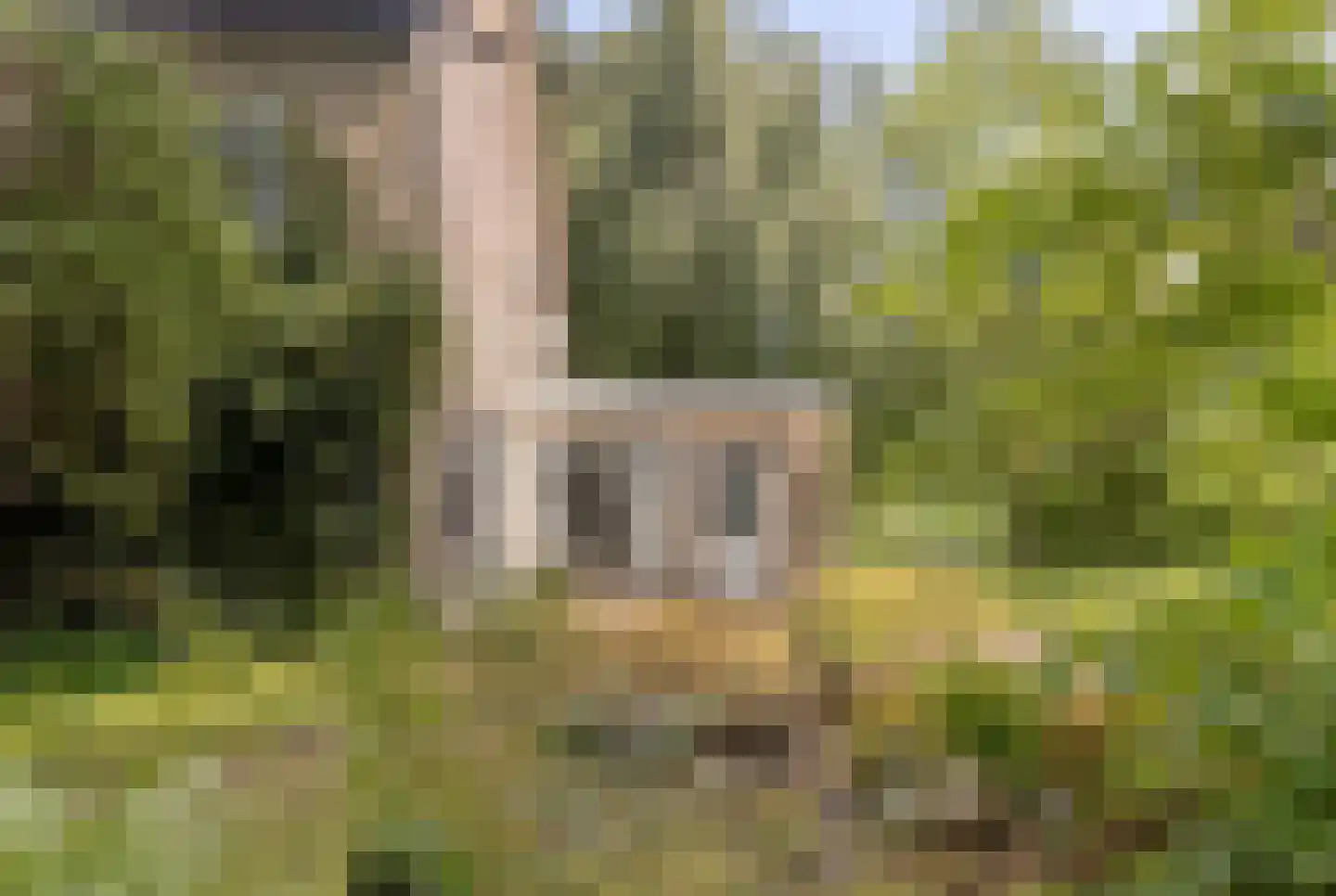 Sartonlaan 13 Sittard thumbnail 54