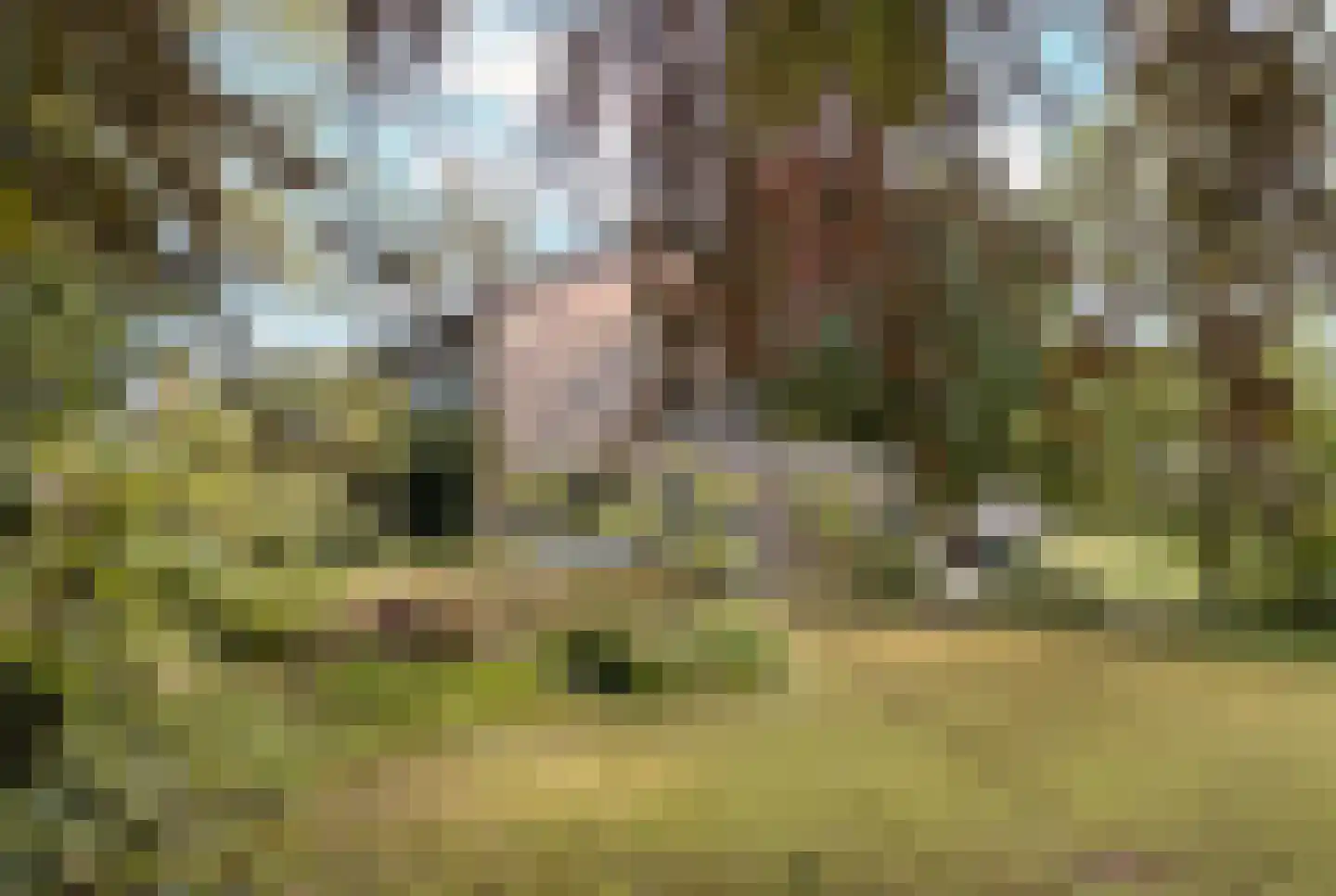Sartonlaan 13 Sittard thumbnail 56