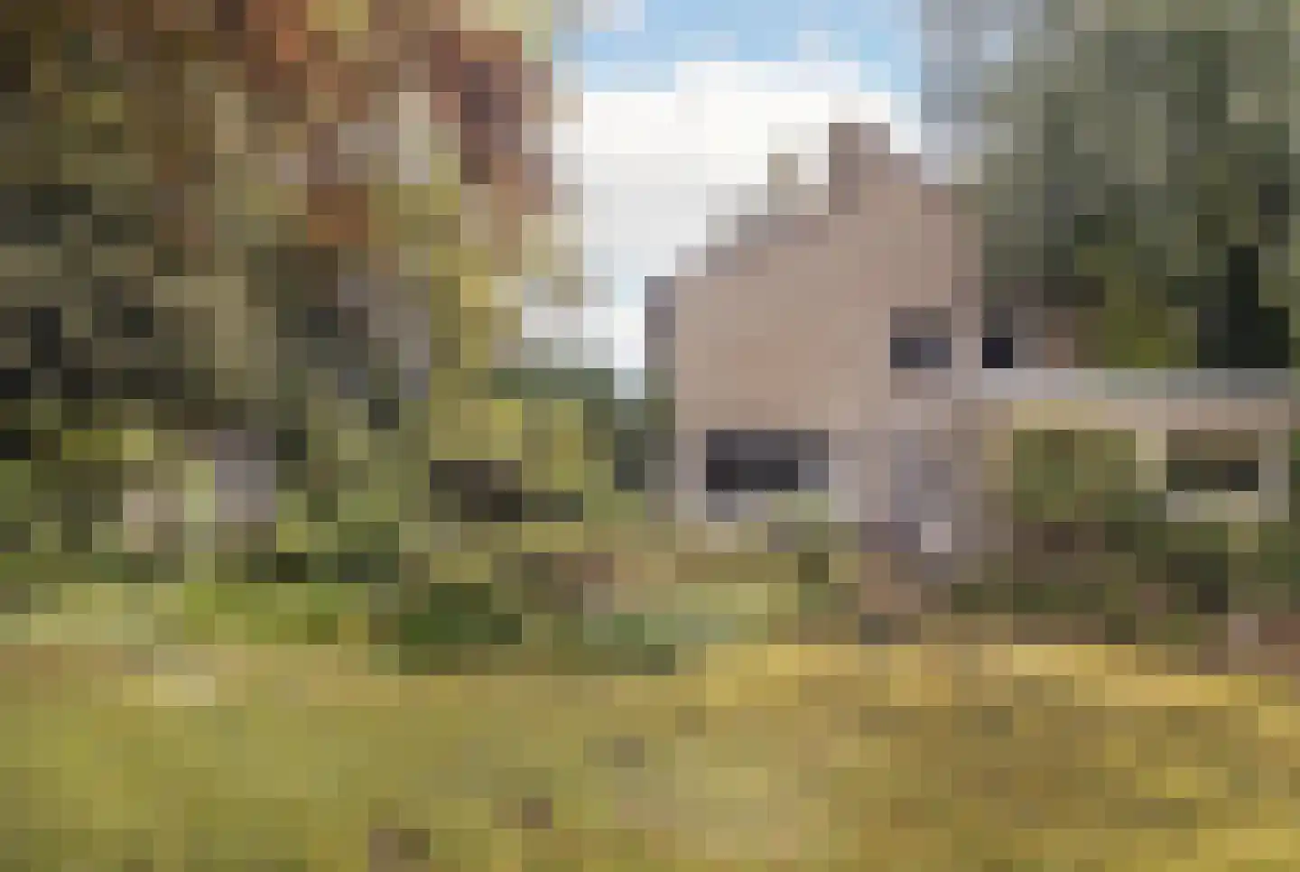 Sartonlaan 13 Sittard thumbnail 6