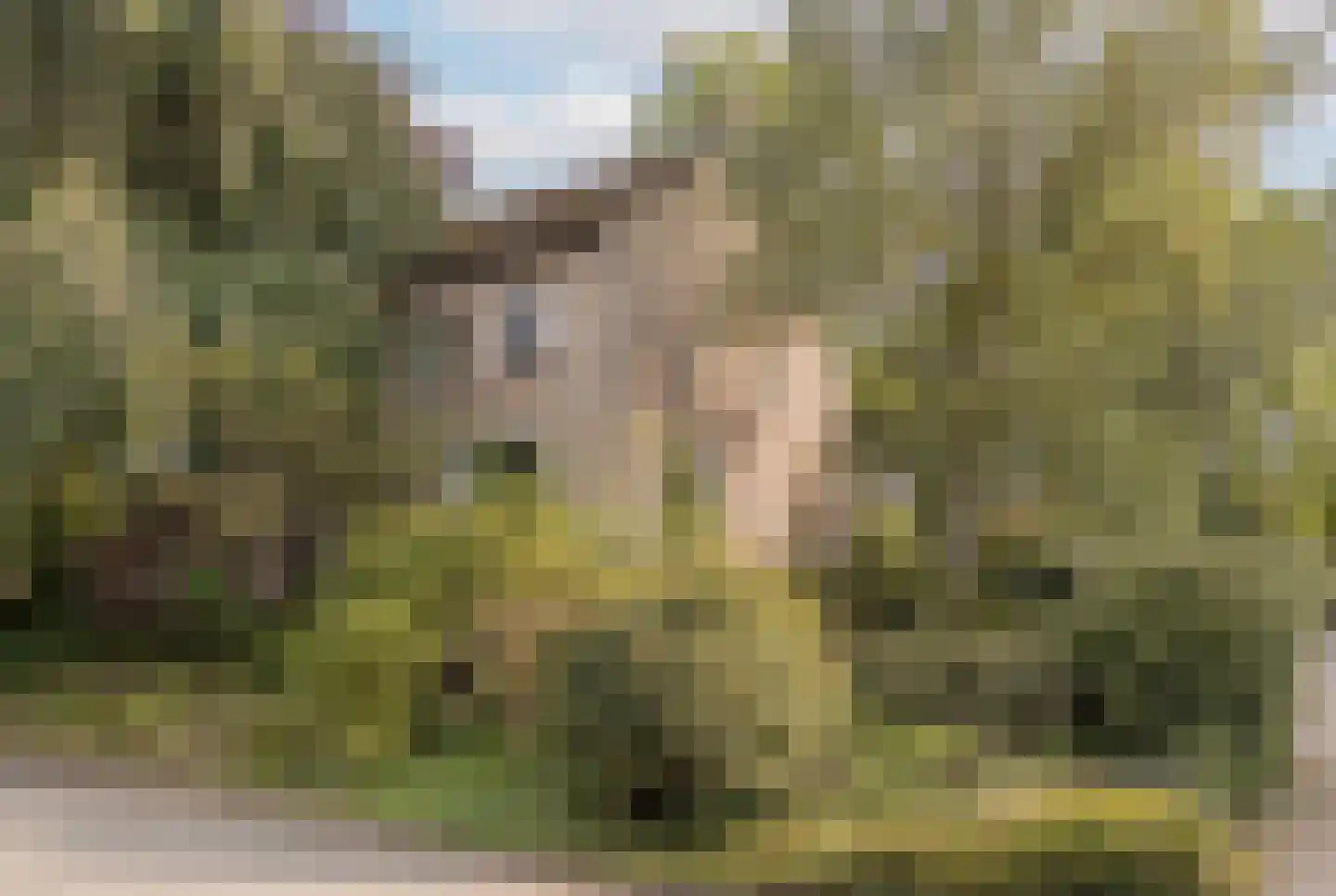 Sartonlaan 13 Sittard thumbnail 7