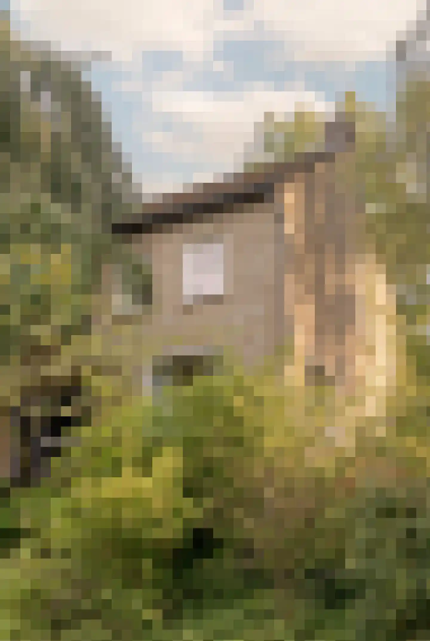 Sartonlaan 13 Sittard thumbnail 8