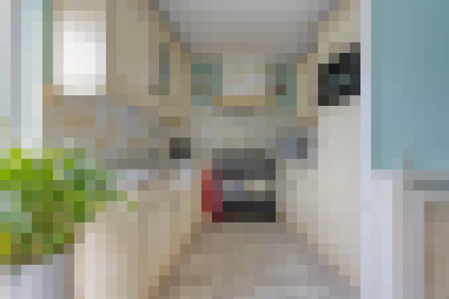 Sartrelaan 2 Eindhoven thumbnail 15