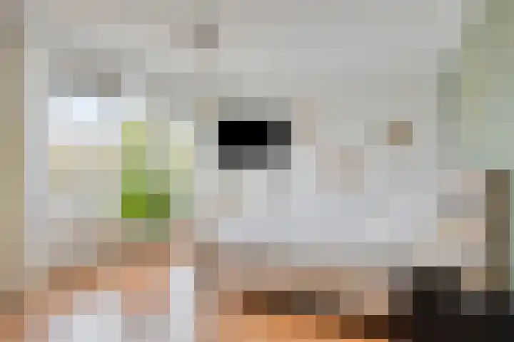 Sartrelaan 26 Eindhoven thumbnail 23