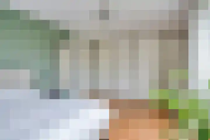 Sartrelaan 26 Eindhoven thumbnail 24