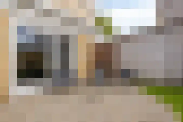 Sartrelaan 26 Eindhoven thumbnail 35