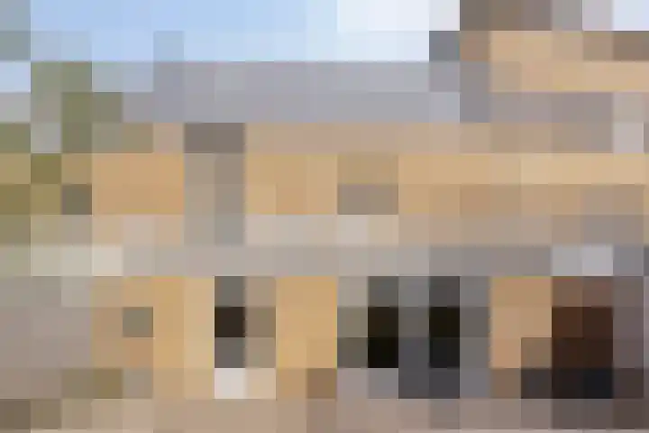 Sartrelaan 26 Eindhoven thumbnail 37