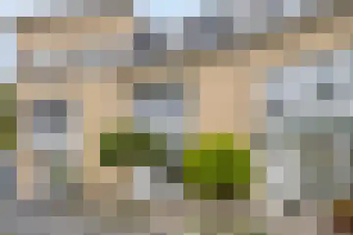 Sartrelaan 26 Eindhoven thumbnail 38