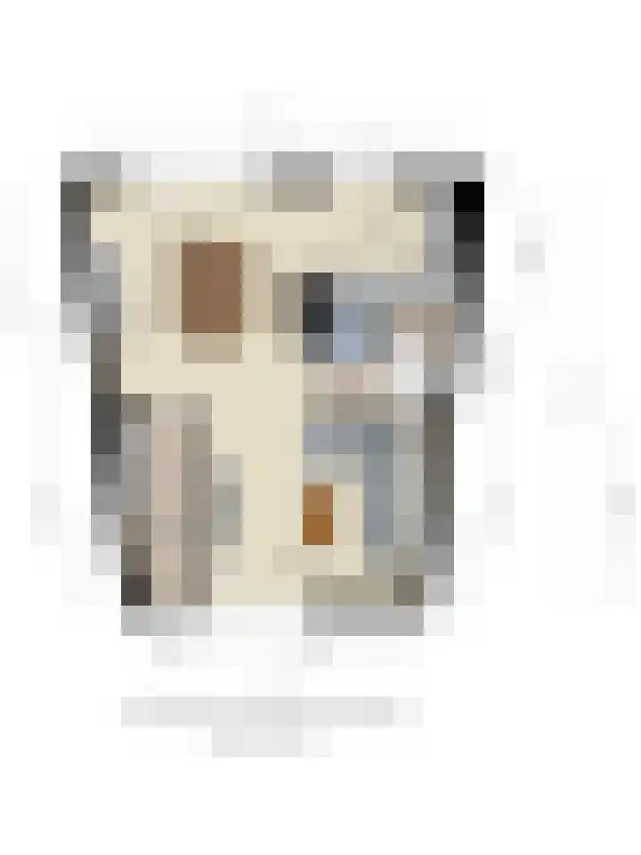 Sartrelaan 26 Eindhoven thumbnail 41