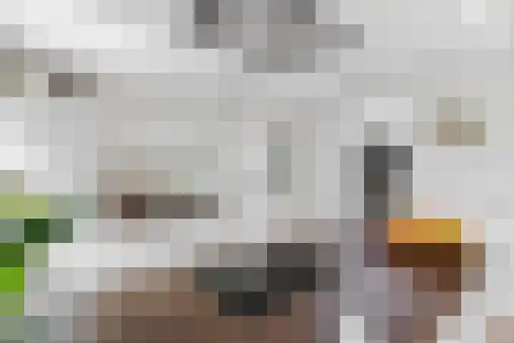 Sartrelaan 5 Eindhoven thumbnail 21
