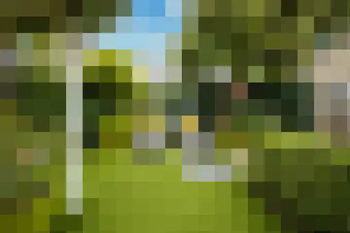 Sartrelaan 5 Eindhoven thumbnail 27