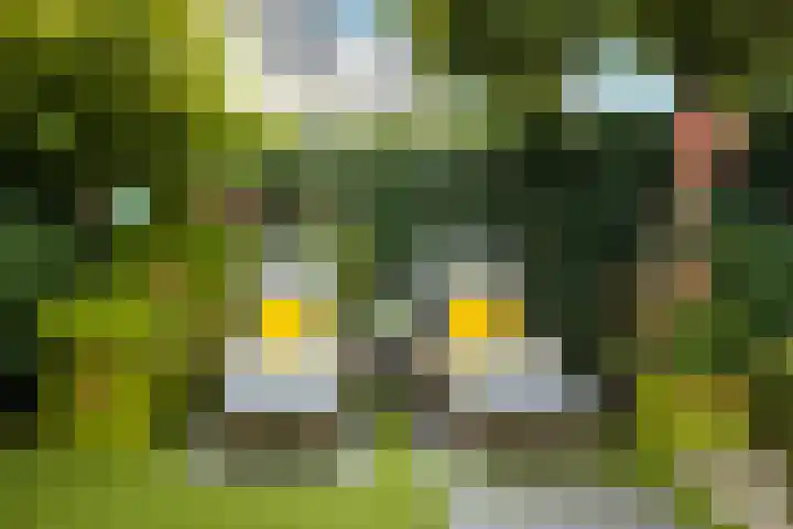 Sartrelaan 5 Eindhoven thumbnail 28