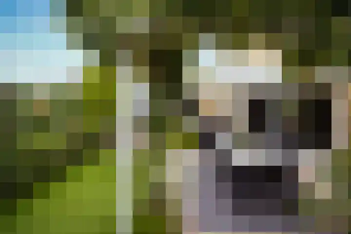 Sartrelaan 5 Eindhoven thumbnail 29