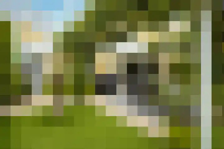Sartrelaan 5 Eindhoven thumbnail 30