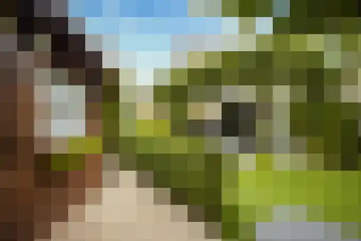 Sartrelaan 5 Eindhoven thumbnail 32