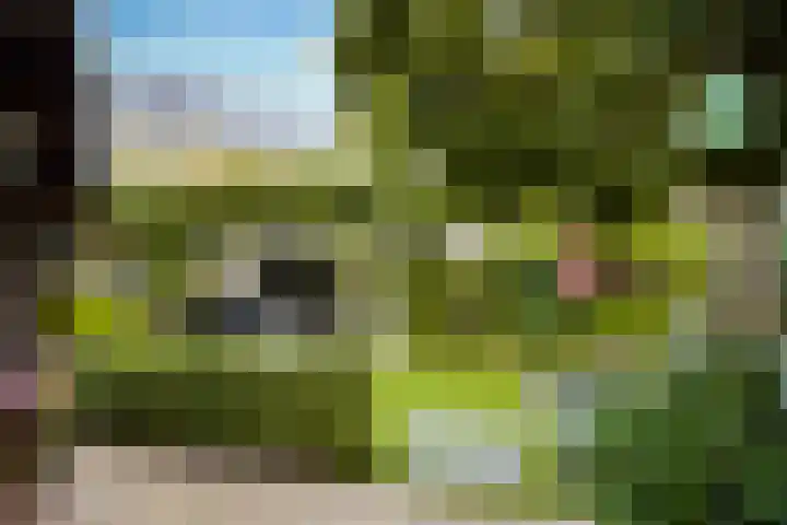 Sartrelaan 5 Eindhoven thumbnail 33