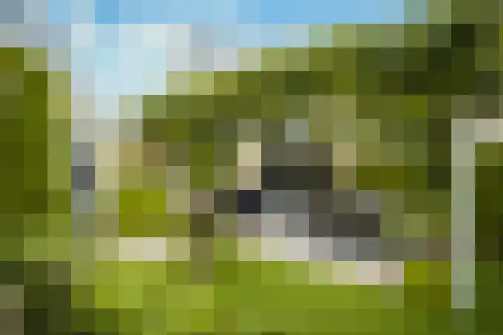 Sartrelaan 5 Eindhoven thumbnail 34