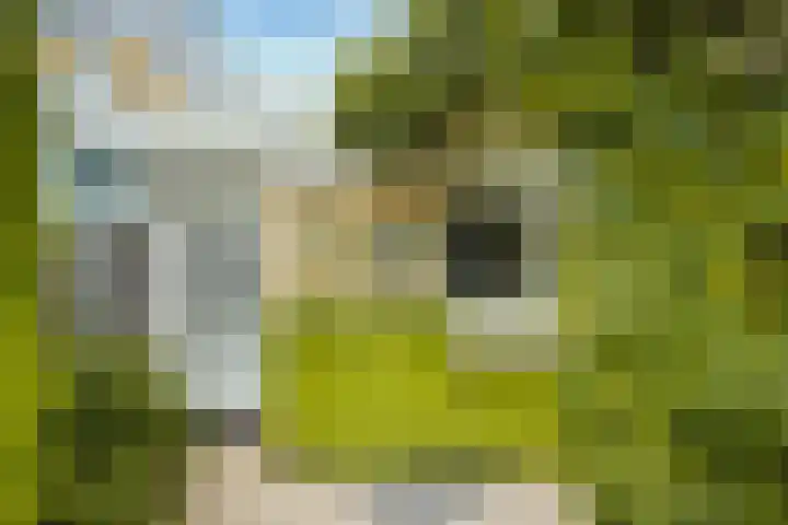 Sartrelaan 5 Eindhoven thumbnail 35