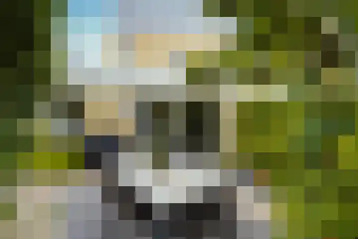 Sartrelaan 5 Eindhoven thumbnail 36