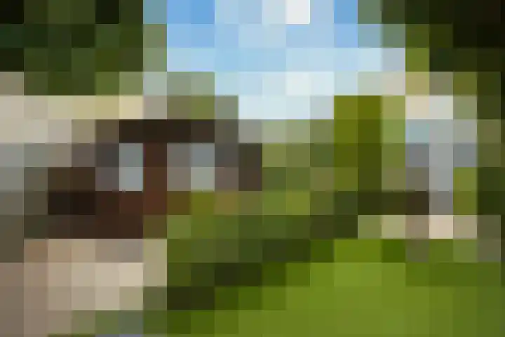 Sartrelaan 5 Eindhoven thumbnail 37