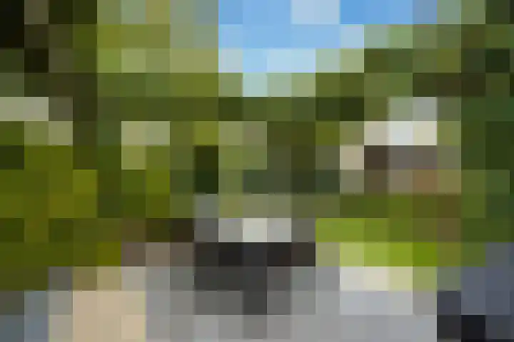 Sartrelaan 5 Eindhoven thumbnail 7