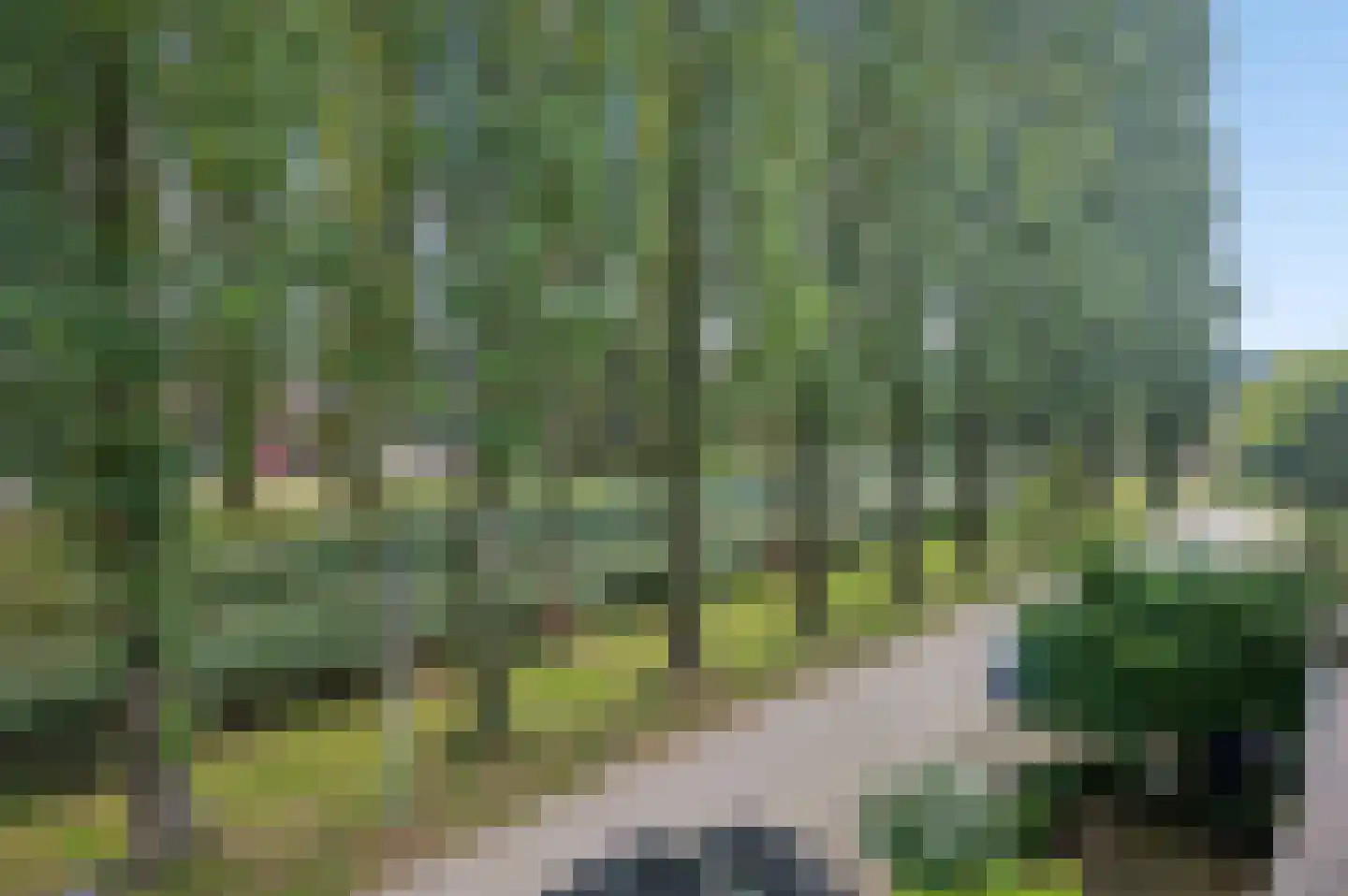 Sartrestate 14 Ede thumbnail 39