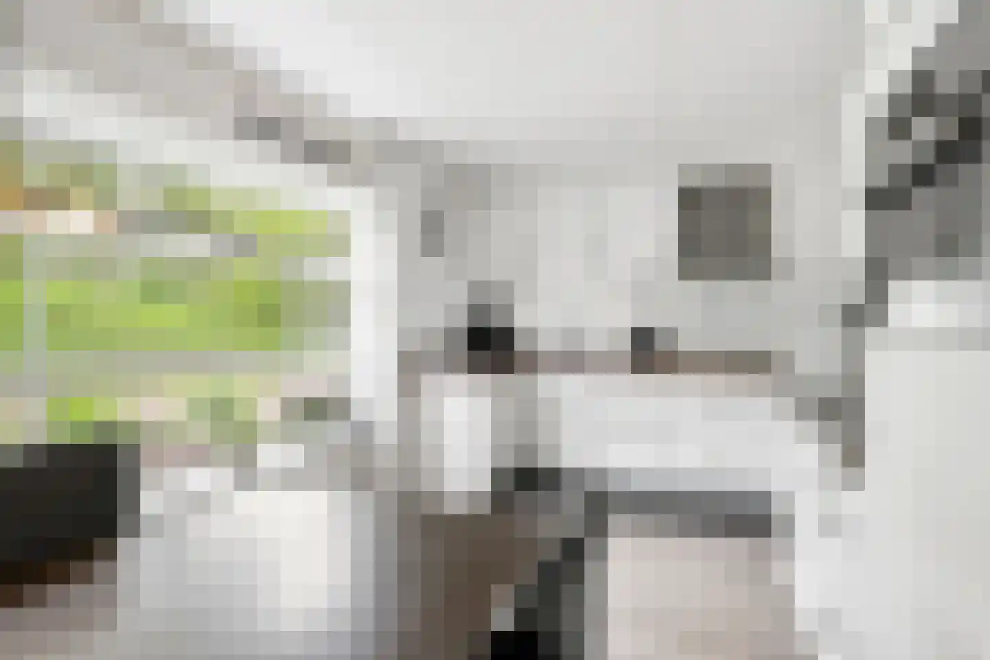Sartrestate 38 Ede thumbnail 15