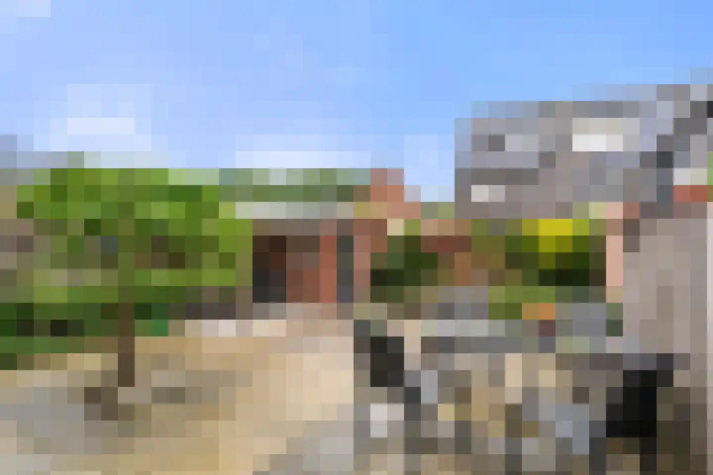 Sartrestate 38 Ede thumbnail 34