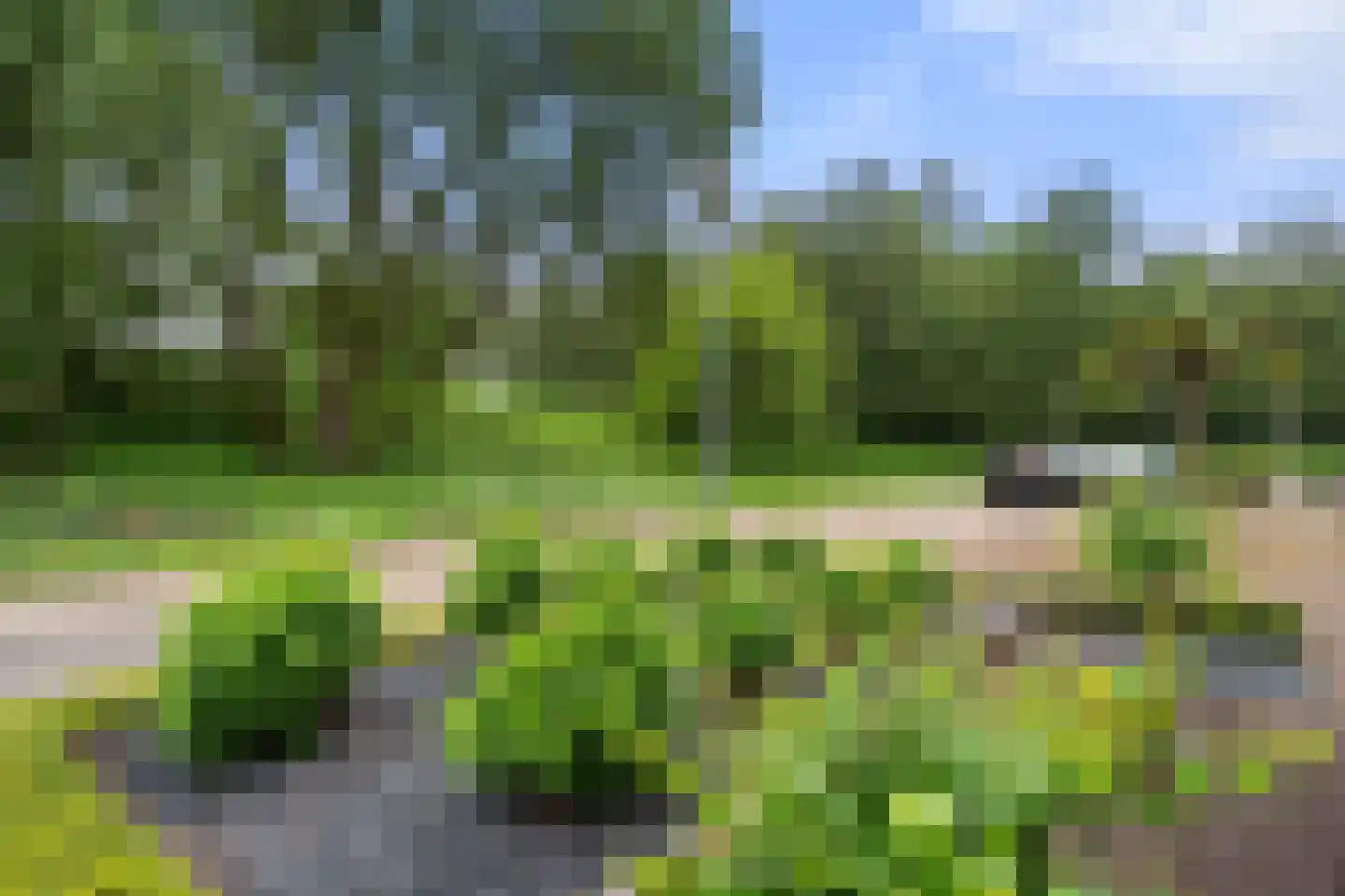 Sartrestate 38 Ede thumbnail 38