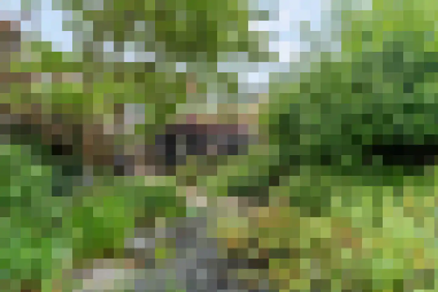 Sartrestate 50 Ede thumbnail 32