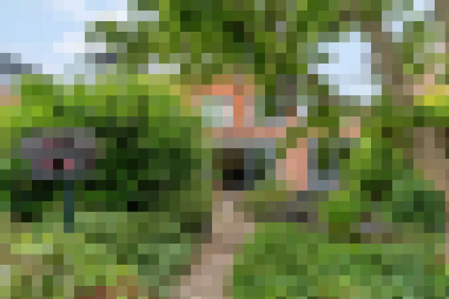 Sartrestate 50 Ede thumbnail 37