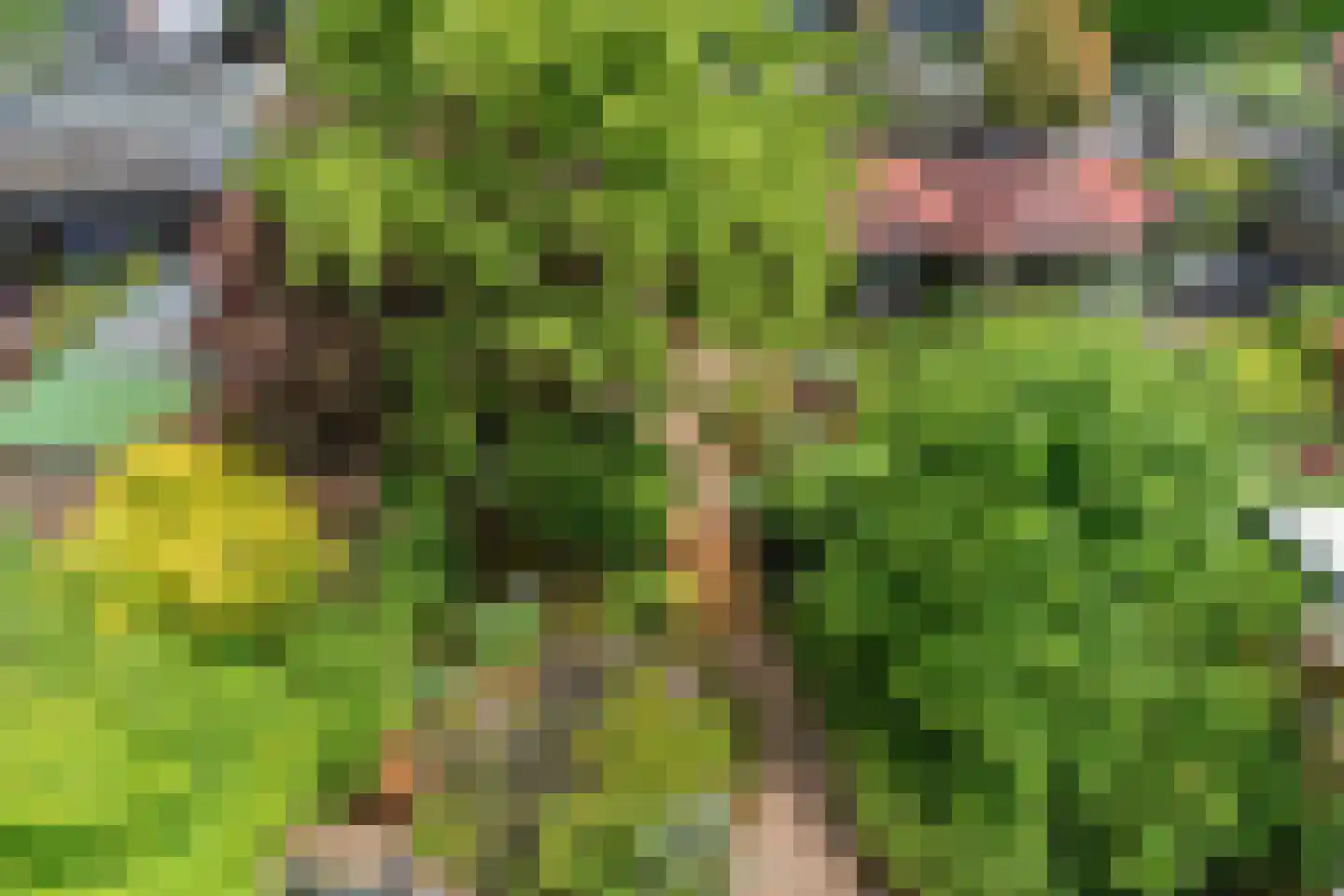 Sartrestate 50 Ede thumbnail 38