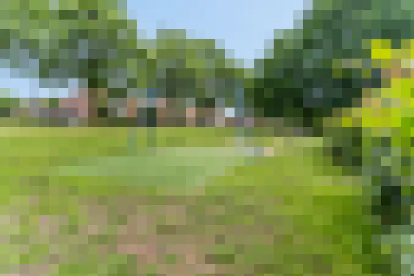 Sartrestate 50 Ede thumbnail 50