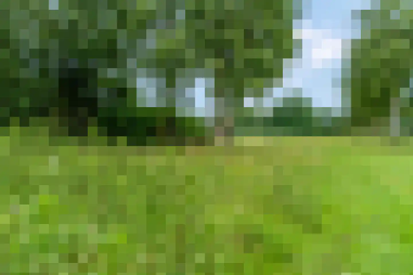 Sartrestate 50 Ede thumbnail 51