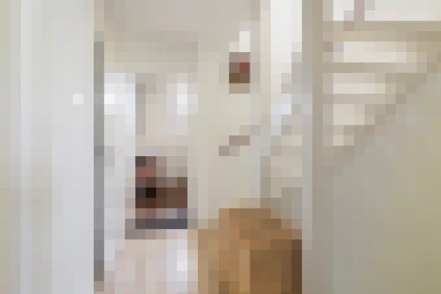 Sartrestraat 21 Apeldoorn thumbnail 19