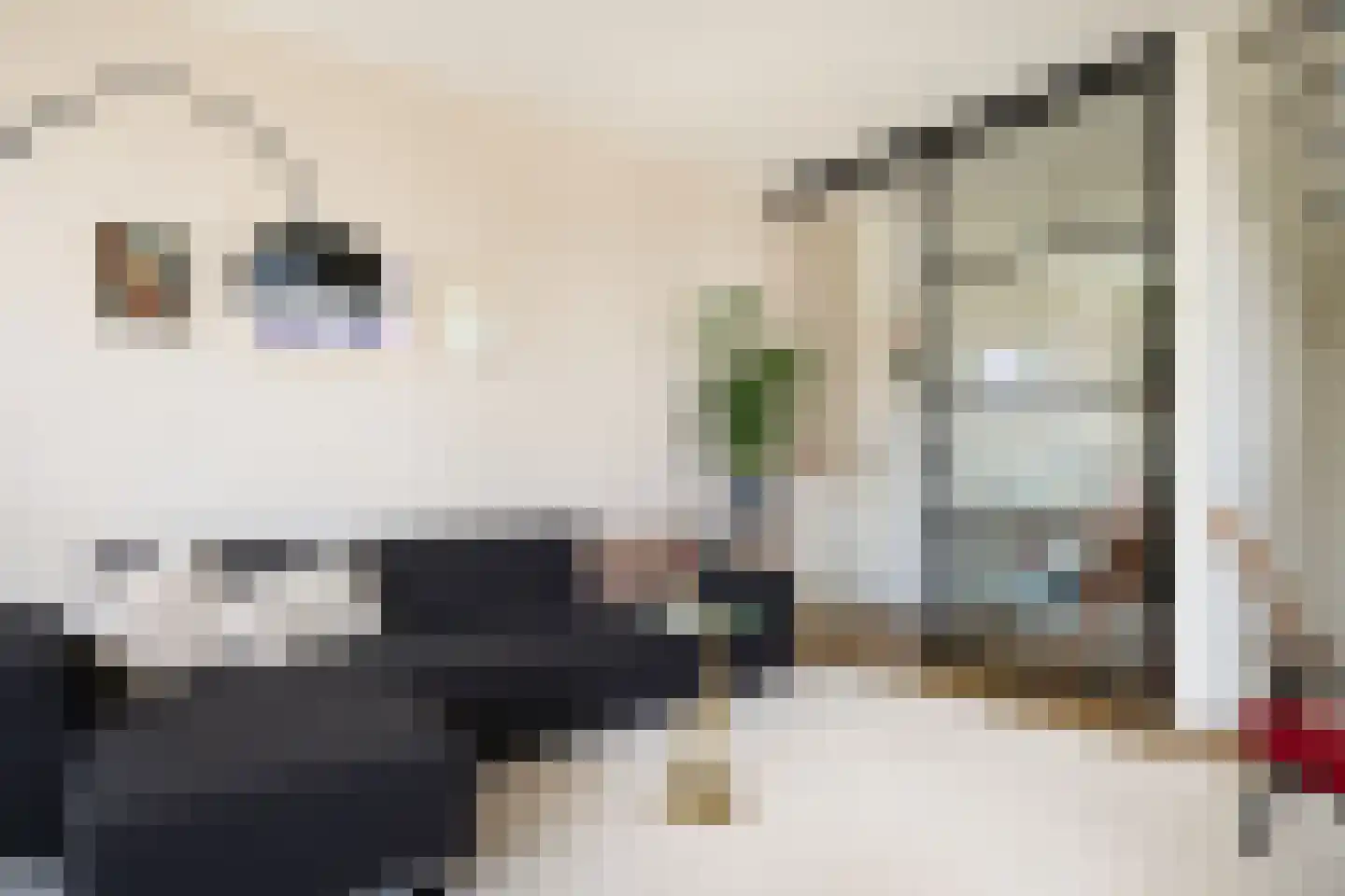 Sartreweg 144 Utrecht thumbnail 17