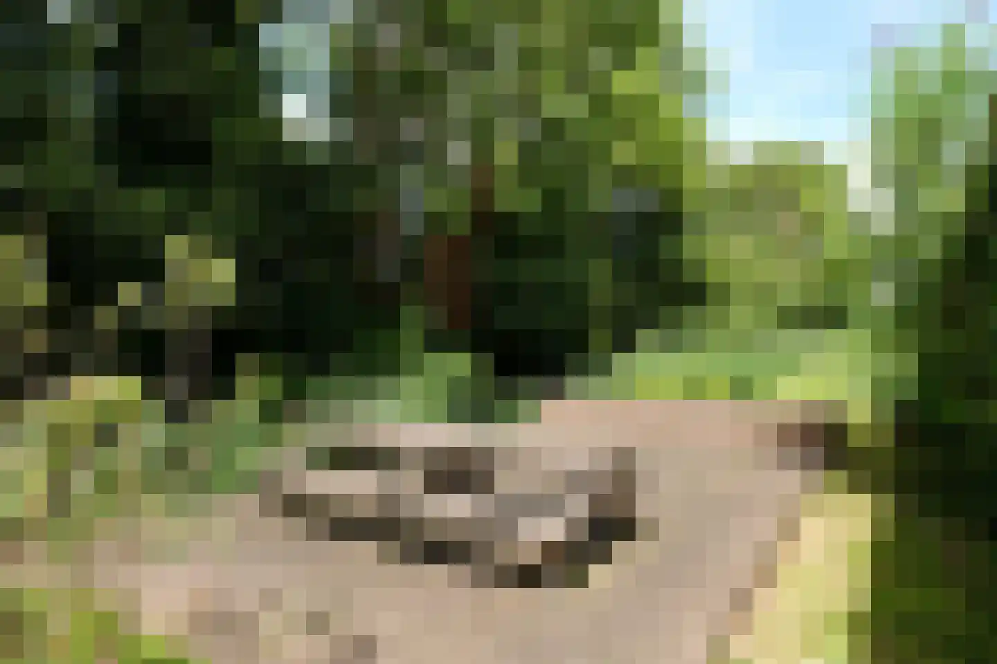 Sartreweg 144 Utrecht thumbnail 31