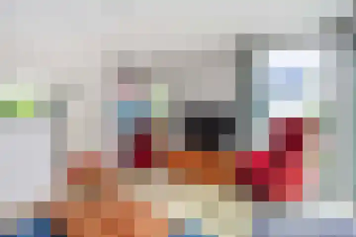 Sartreweg 162 Utrecht thumbnail 13