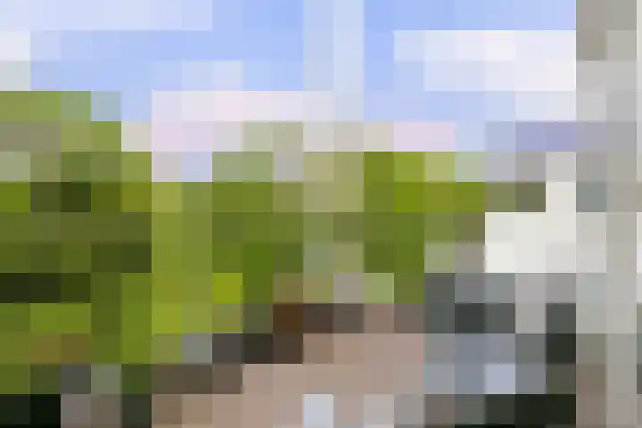 Sartreweg 162 Utrecht thumbnail 19