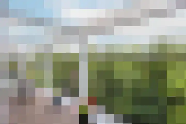 Sartreweg 162 Utrecht thumbnail 28