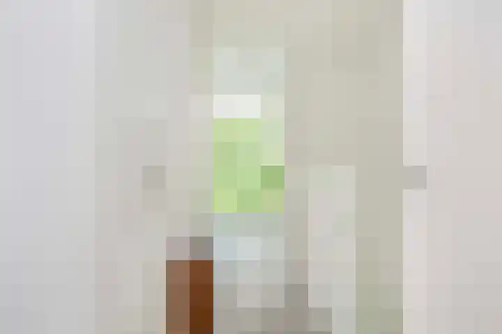 Sartreweg 162 Utrecht thumbnail 32