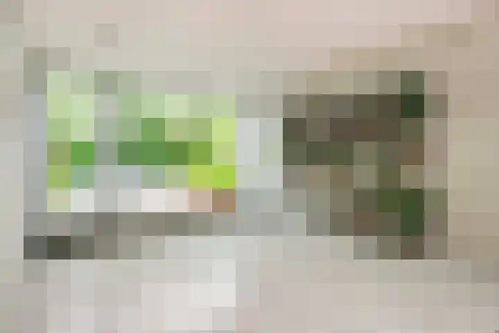 Sartreweg 162 Utrecht thumbnail 38
