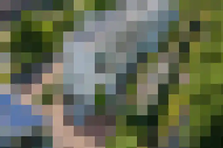Sartreweg 162 Utrecht thumbnail 47