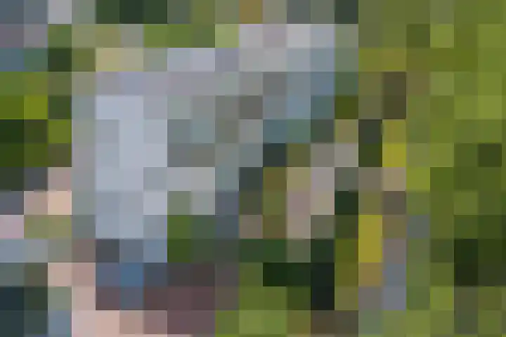 Sartreweg 162 Utrecht thumbnail 48