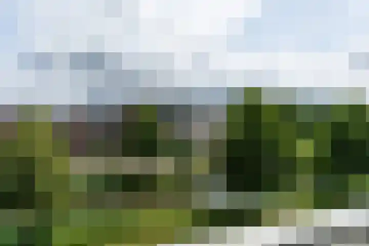 Sartreweg 172 Utrecht thumbnail 11