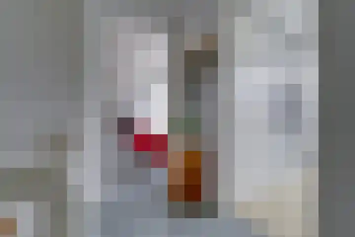 Sartreweg 172 Utrecht thumbnail 19