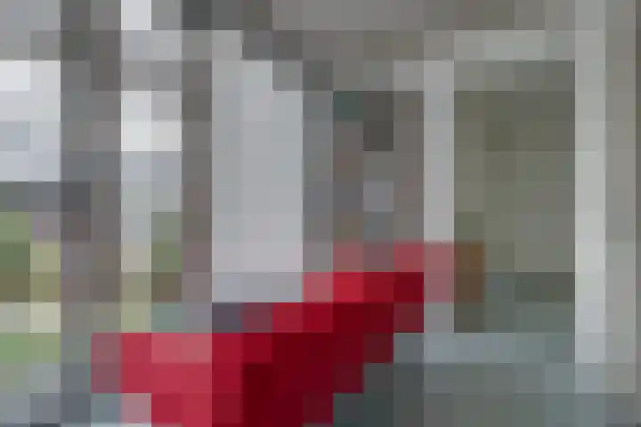 Sartreweg 172 Utrecht thumbnail 23