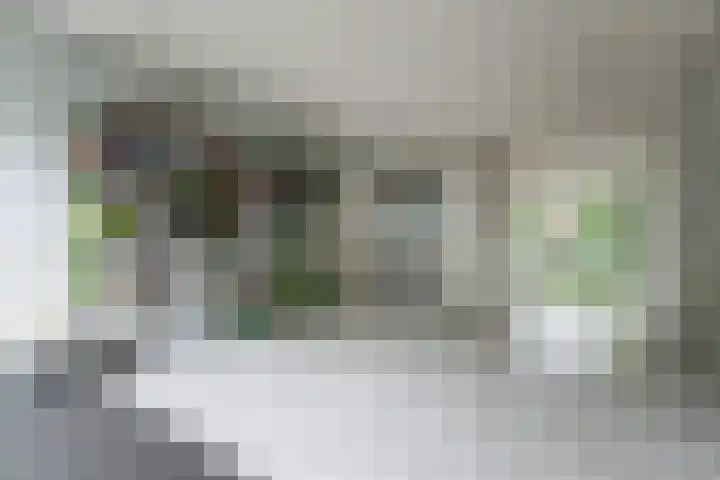 Sartreweg 172 Utrecht thumbnail 33