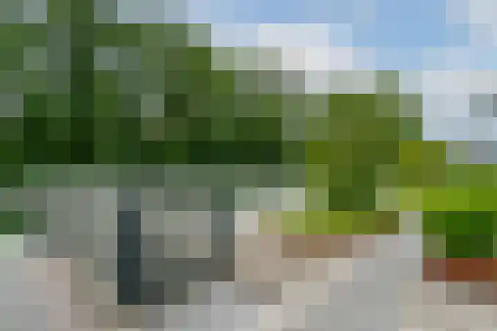 Sartreweg 172 Utrecht thumbnail 35