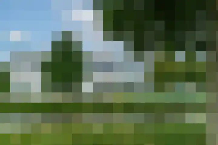 Sartreweg 172 Utrecht thumbnail 38