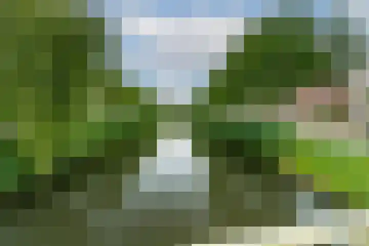 Sartreweg 172 Utrecht thumbnail 39